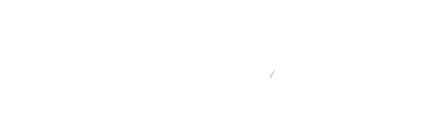 Selfit